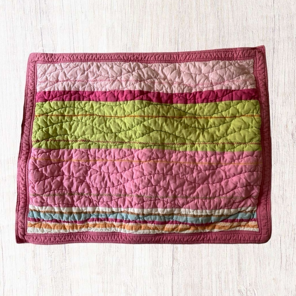 Pottery Barn Kids Quilted Pillow Sham Standard Size OS